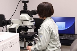 女性職員が電子顕微鏡で検査をしている写真