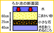 ろか池の断面図