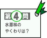 第4問：水源林のやくわりは？