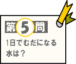 第5問：1日でむだになる水は？